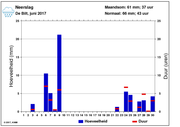 Neerslaggrafiek van juni per dag