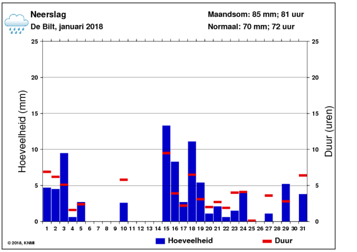 Neerslaggrafiek van januari per dag