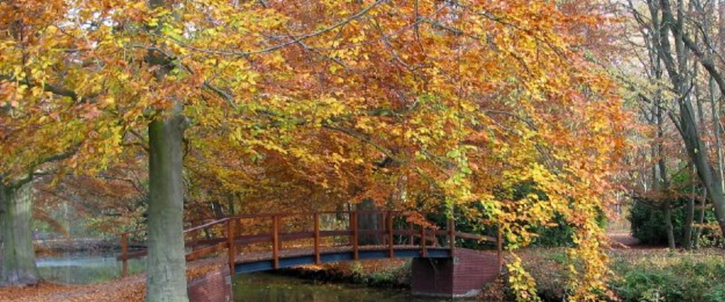 KNMI  Herfst