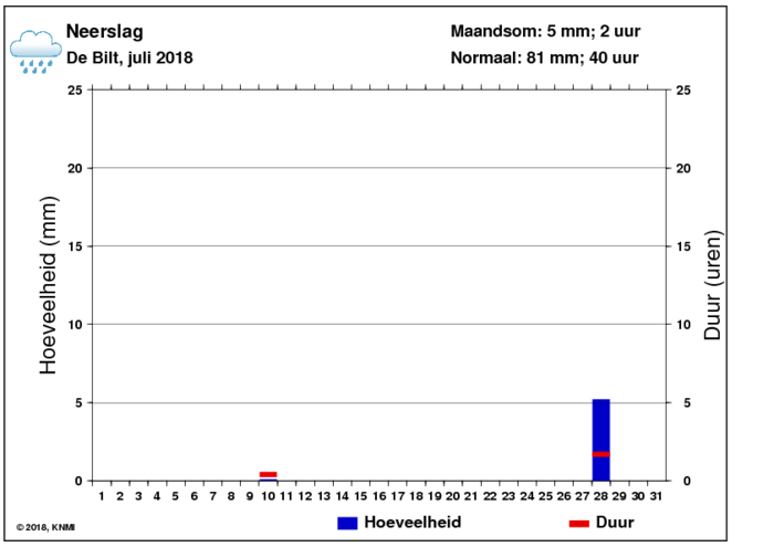 Neerslaggrafiek van juli per dag