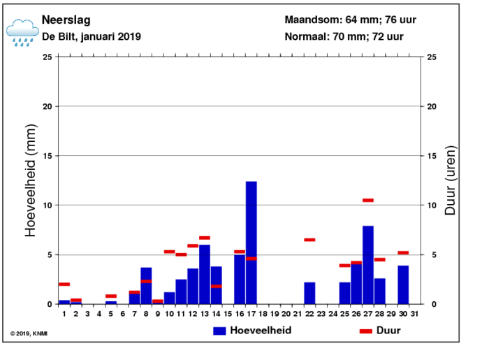 Neerslaggrafiek van januari per dag