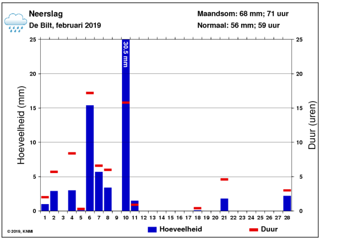 Neerslaggrafiek van februari per dag