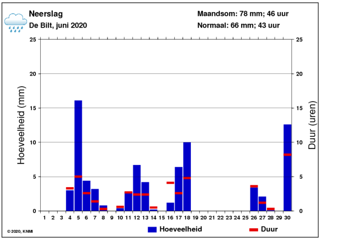 Neerslaggrafiek van juni per dag