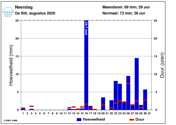 Neerslaggrafiek van augustus per dag