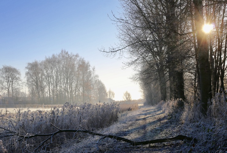 Januari 2017 was een vrij koude maand met vaak rustig winterweer ©Marian van Keulen
