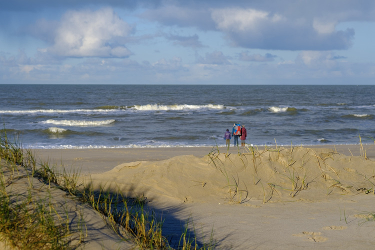 Duinen bij Petten in winterzon (Foto: Lennart Turlings)
