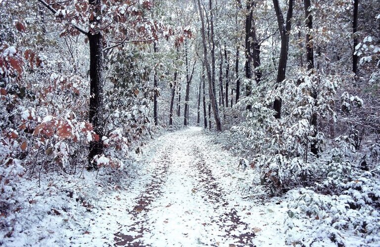 In 2003 viel de eerste sneeuw al op 23 oktober (foto: Koos Jansen, Warnsborn)