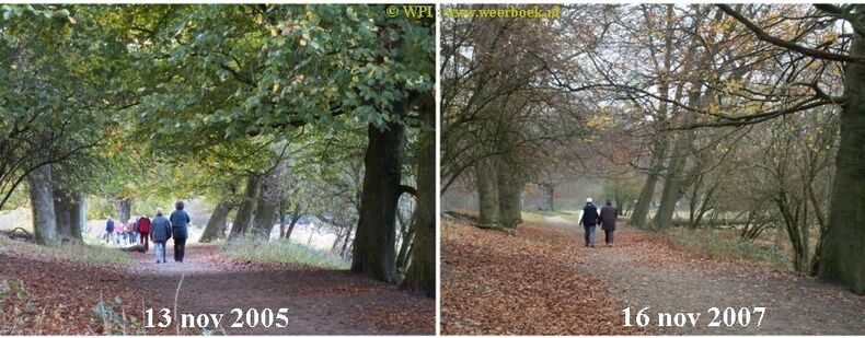 De herfst van 2005 was de groenste (foto: Jacob Kuiper, WPI/KNMI)