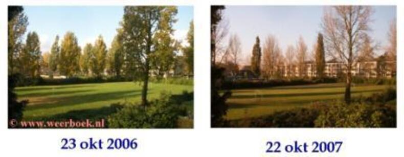 Bladstand 2006 en 2007