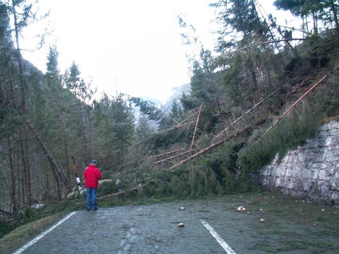 Severe Gale Kyrill blocked the roads in Europe on the 18th of January
