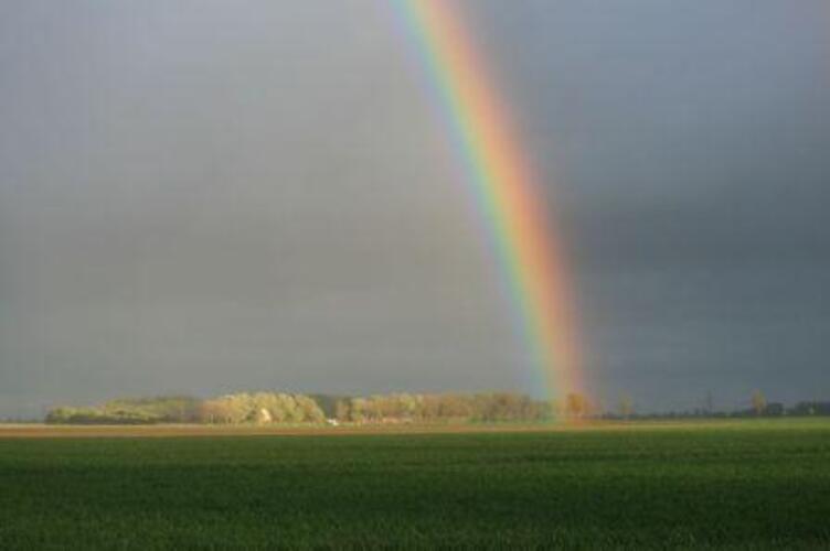 Mei was een zonnige maar op veel plaatsen ook natte maand (foto: Jannes Wiersema)