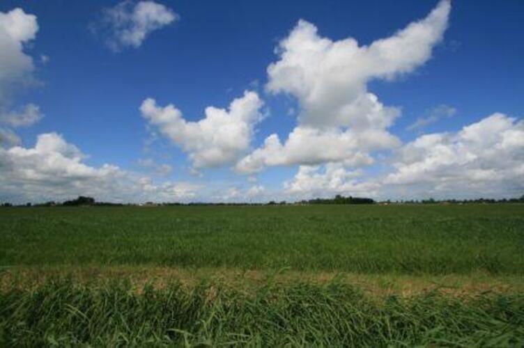 Wisselvallig begin van de zomer met afwisselend buien en zonnige momenten (foto: Jannes Wiersema) 
