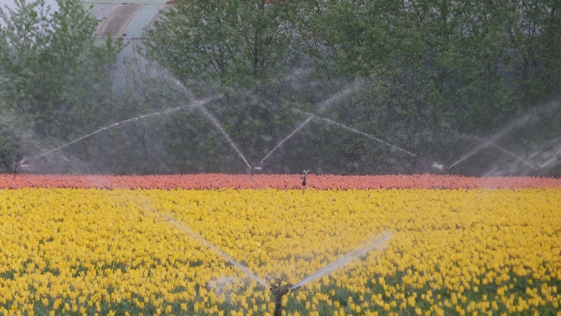 April 2011 evenaart het warmterecord in drie eeuwen en was bovendien zeer droog en zonnig (foto: Jannes Wiersema)