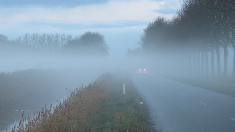 Het rustige en vochtige herfstweer leidde tot vorming van mist die soms hardnekkig was (foto: Jannes Wiersema)