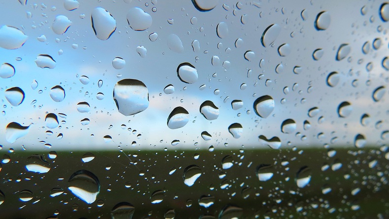 November 2015 was een uitzonderlijk zachte en natte maand. Foto: Jannes Wiersema  