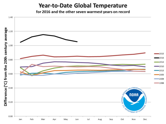 Maandelijks verloop van de wereldgemiddelde temperatuur in 2016 en in de andere zeven warmste jaren ©NOAA