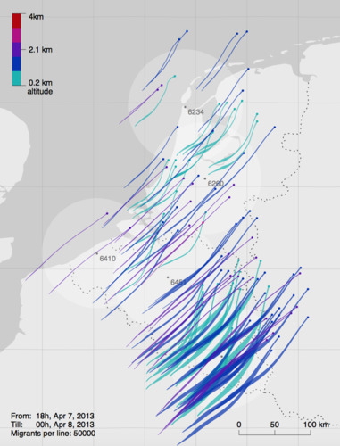 Radarbeeld van vogeltrek. Bron: KNMI e.a.