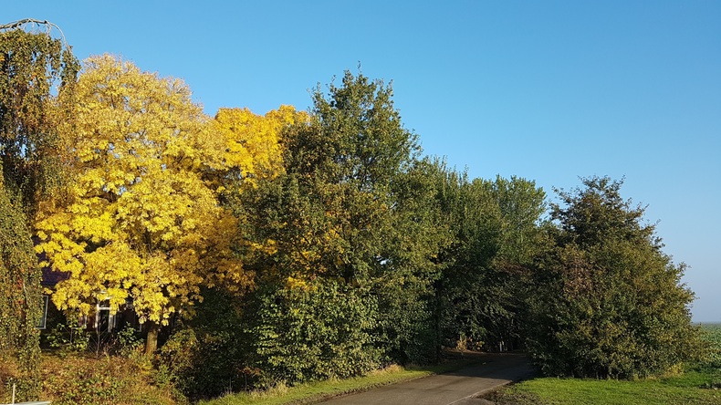 Oktober was een zonnige maand maar de temperatuur lag meestal aan de lage kant ©Jannes Wiersema