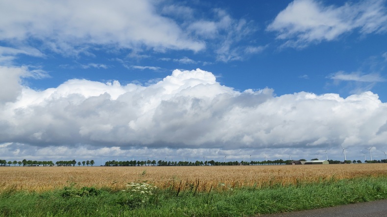 Ondanks het wisselvallige weer met veel buien was de zomer van 2017 warm en vrij zonnig  ©Jannes Wiersema