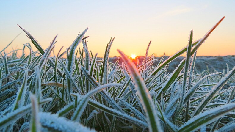 foto van dauw op gras in de winter met opkomende zon