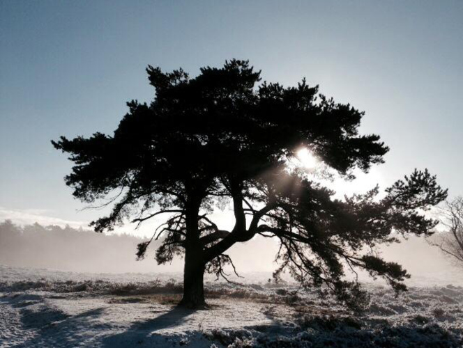 Fotograaf Mischa Mikx