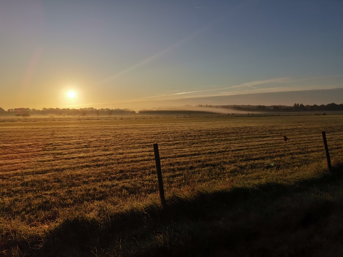 Foto van weiland met opkomende zon