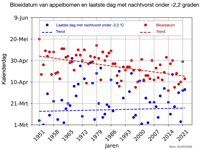 Grafiek die per jaar laat zien op welke dag de appelbomen in bloei kwamen en op welke dag de laatste nachtvorst kouder dan -2,2 voorkwam vanaf 1951 tot nu.