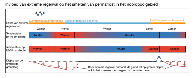 Het effect van regenval op de temperaturen dichtbij de grond en in diepere lagen, en op de dooidiepte. Extreme regenval zorgt voor hogere temperaturen in de bodem en een significant diepere permafrost-dooi, zelfs in het daaropvolgende jaar.