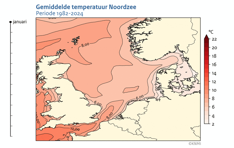 Animatie met kaarten van de gemiddelde temperatuur per maand over de periode 1982-2024.
