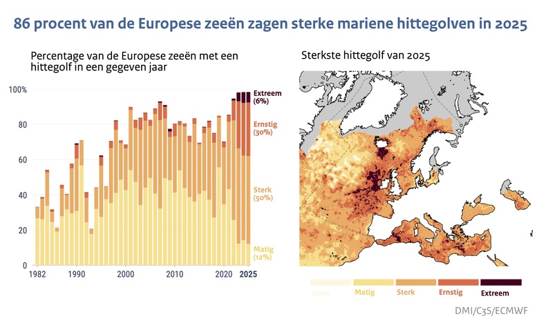 Kaartje van de Europese zeeën met in kleur de ernst van de opgetreden mariene hittegolf in 2025