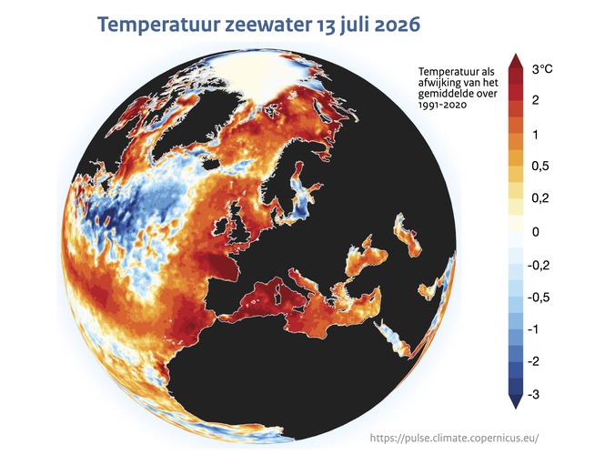 Kaart van de wereld met de zeewatertemperatuur op 13 juli 2026
