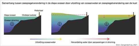 Samenhang zeespiegelvariaties diepe oceaan en aan de kust