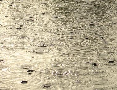 Fikse bui boven de Reeuwijkse Plassen (foto: J.C. Hulsbos, Gouda)