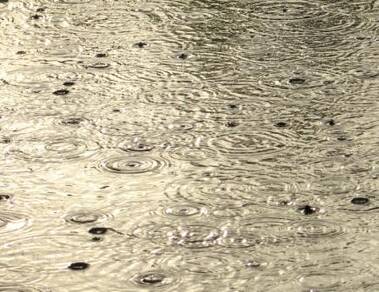 Fikse bui boven de Reeuwijkse Plassen (foto: J.C. Hulsbos, Gouda)