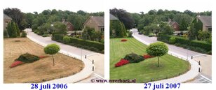 Recordwarme en kurkdroge juli 2006 naast natte juli 2007* (Foto: Jacob Kuiper, WPI/KNMI)