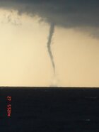 Waterhozen bij Kijkduin maandag 28 augustus 2006 (Foto: P. Pronk)