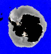 Zuidpoolijs op 7 juli 2010 gemeten door scaterrometer op MetOp-A satelliet. Illustratie: KNMI