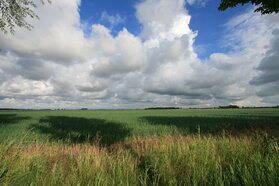 Juli was een zeer warme maar wisselvallige maand (foto: Jannes Wiersema)