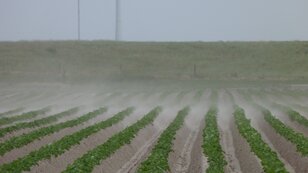 De bodem kan zo droog worden dat zelfs de klei door de wind verstuift (foto: Jannes Wiersema)