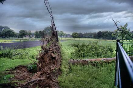 Schade na de windhoos in Montfort (Foto: Thieu Smeets)