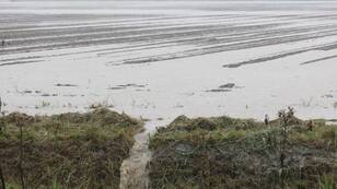 De wisselvallige zomer leverde flinke buien op. Op 31 augustus viel er vooral in het noordwesten veel regen, in Friesland lokaal meer dan 100 mm (foto: Jannes Wiersema)  