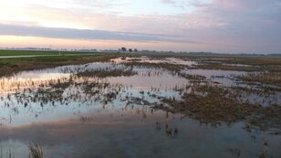 Het jaar 2012 was zonnig maar eindigde nat (foto: Jannes Wiersema)