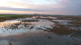 Het jaar 2012 was zonnig maar eindigde nat (foto: Jannes Wiersema)