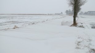 Sneeuwval in Groningen. foto Jannes Wiersema