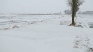 Sneeuwval in Groningen. foto Jannes Wiersema