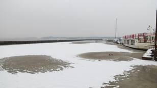 Goede vrijdag, 29 maart 2013 met ijs en sneeuw in het noorden van ons land (foto: Jannes Wiersema)  