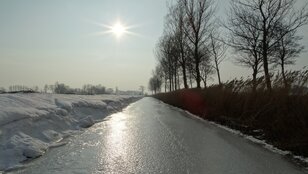 Het laatste weekeinde van januari was de enige periode die aan de winter deed denken en dat alleen in het noordoosten van het land  (foto: Jannes Wiersema)