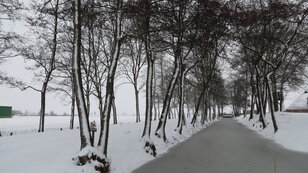 De winter was vrij zacht maar in tegenstelling tot vorig jaar ontbrak het niet aan vorst en sneeuw (foto: Jannes Wiersema)     