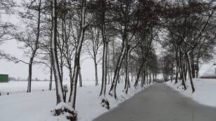 De winter was vrij zacht maar in tegenstelling tot vorig jaar ontbrak het niet aan vorst en sneeuw (foto: Jannes Wiersema)     