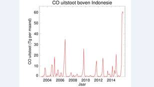 CO-uitstoot in Indonesië in afgelopen tien jaar. Bron: Copernicus/KNMI